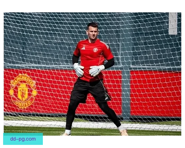 希顿与曼联续签一年合同 将继续担任第三门将角色
