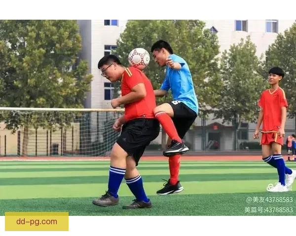 一起点亮绿茵梦想 2026世界杯志愿者招募正式启航